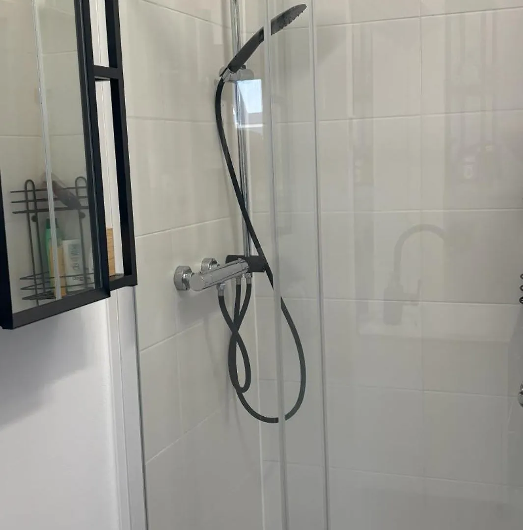 Golda Apartment Karlovy Vary Balcony, Parking, Near Spa & Train República Checa